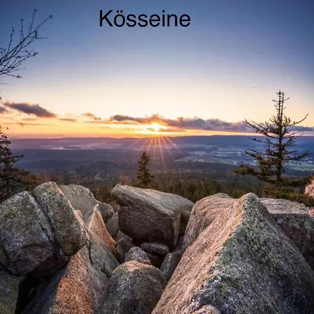 Alte Wognerei *